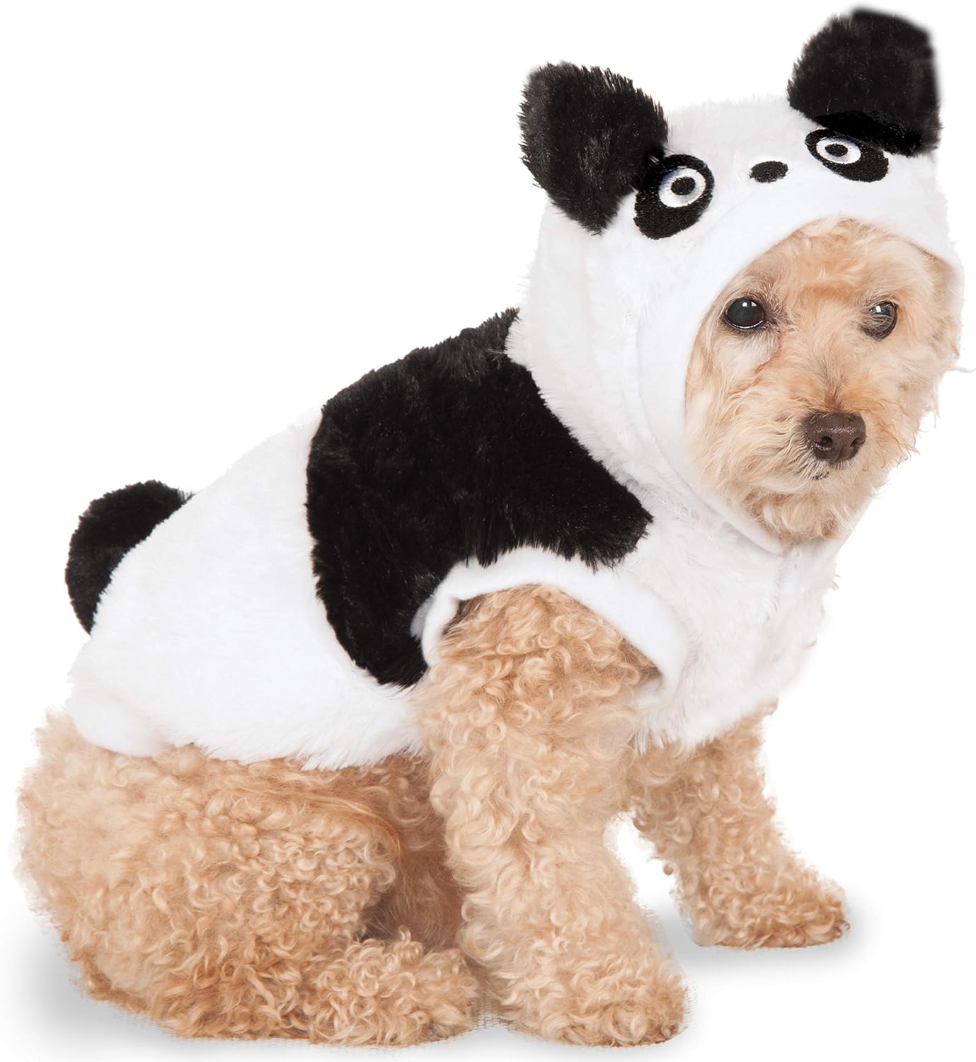 the panda dog