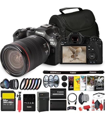 Amazon.com : Canon EOS R6 Mirrorless Digital Camera with 24-105mm