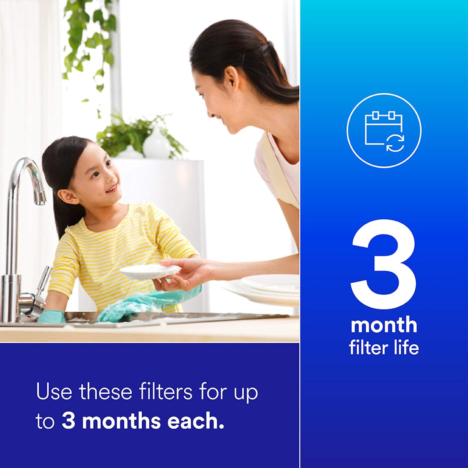 Filtrete Standard Capacity Whole House Pleated Replacement Water Filter 3WH-STDPL-F02, 2 pack, for use with 3WH-STD-S01 System: Home Improvement