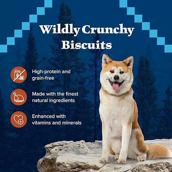 BLUE BUFFALO WILDERNESS TRAIL TREATS HIGH PROTEIN GRAIN FREE DOG BISCUITS CRUNCHY DOG TREATS, TURKEY RECIPE, 24-OZ BAG
