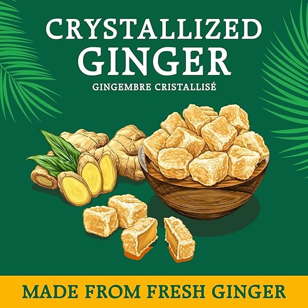 REED’S ALL NATURAL CRYSTALLIZED GINGER NUGGETS IN A 16 OZ RESEALABLE BAG – BABY GINGER ROOT FRUIT SLICES SWEETENED WITH RAW CANE SUGAR CRYSTALS – HIGH ENERGY GINGER CANDIES FOR SNACKING – 12 PACK