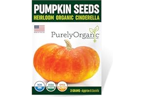 PURELY ORGANIC PRODUCTS LLC Purely Organic Pumpkin Seeds (Cinderella) - Approx 6 Seeds - Certified Organic, Non-GMO, Open Pollinated, Heirloom, USA Origin