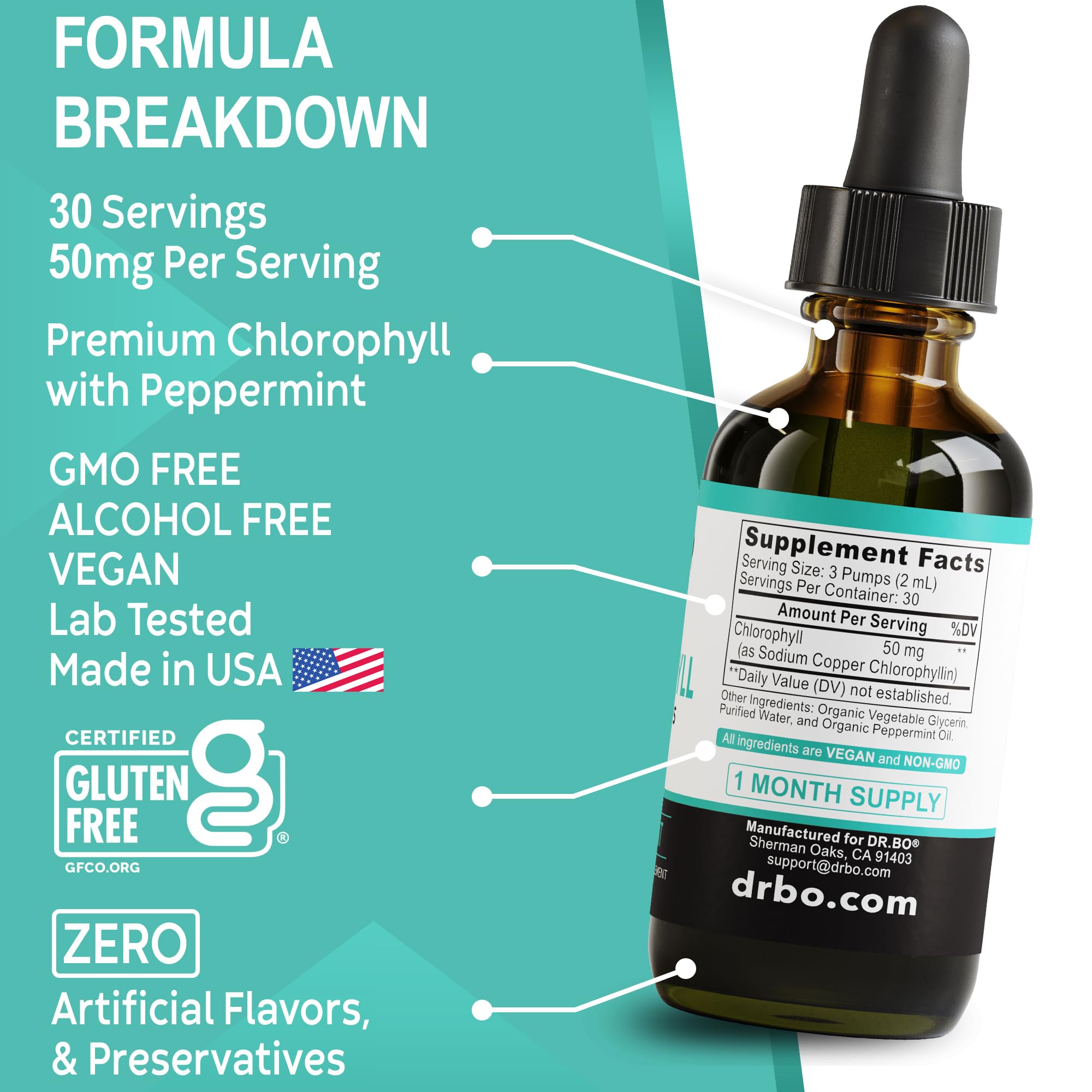 Chlorophyll Liquid Drops Body Detox - Vegan Liquid Chlorophyll Drops Odor Cleanse Supplement, Energy & Immune Support, Internal Deodorant, Body Deodorizing Supplement - Natural Deodorant Water 2 oz