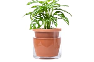 D'vine Dev 6 Inch Design Self Watering Pot for Indoor Plants, Terracotta Planter with Cylinder Glass Cup, 37-X-B-1