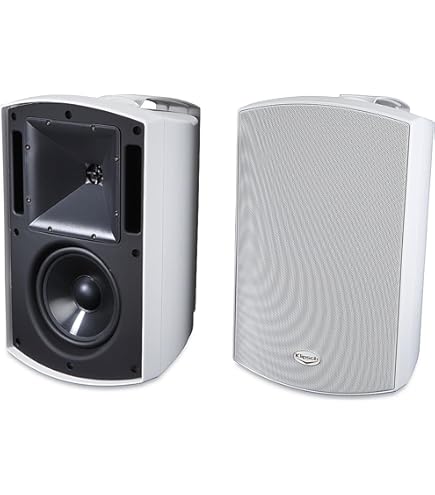 Amazon.com: Bose 151 SE Environmental Speakers, Elegant Outdoor