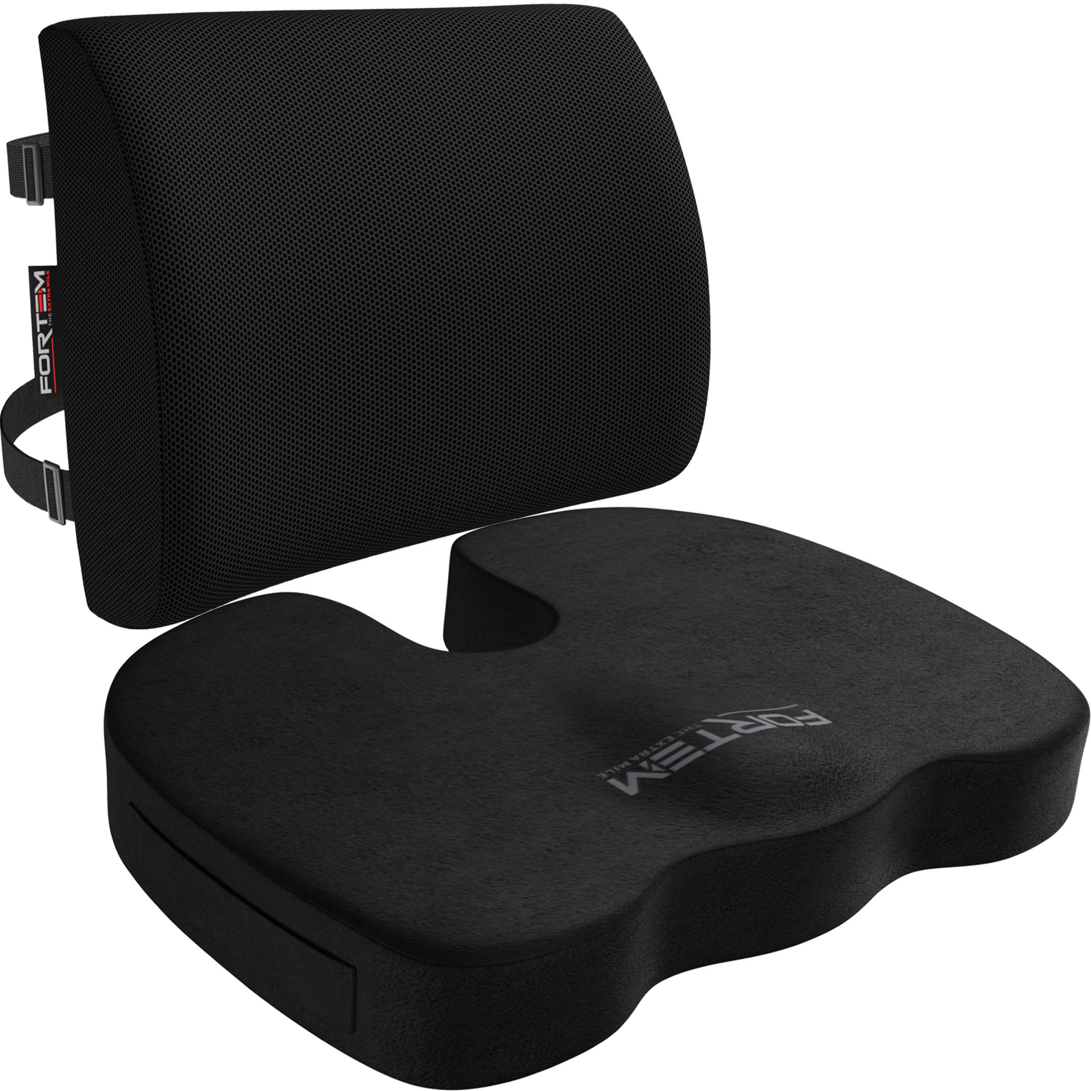 FORTEM Seat Cushion & Lumbar Support for Office Chair, Car, Wheelchair