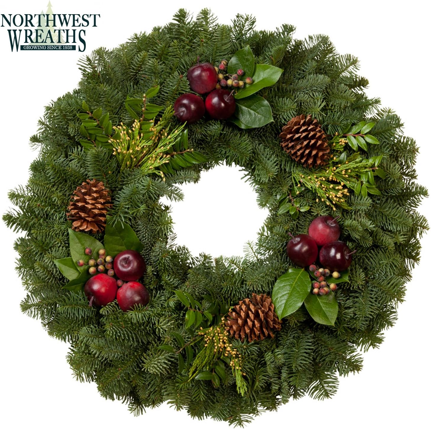 Northwest Wreaths: 24" Countryside Wreath. Fresh Live Greens Delivered To Your Doorstep! Made In The USA! (24" COUNTRYSIDE WREATH)