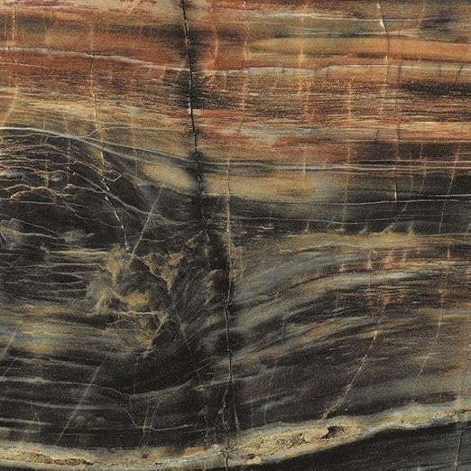 Formica Brand Laminate 034741246408000 Petrified Wood Laminate
