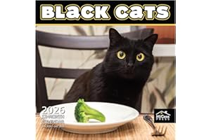 MICASA PRESS MICASA Black Cats 2026 Wall Calendar 12 Month | 12" x 24" Open | Thick & Sturdy Paper | Giftable | Calendar 2026