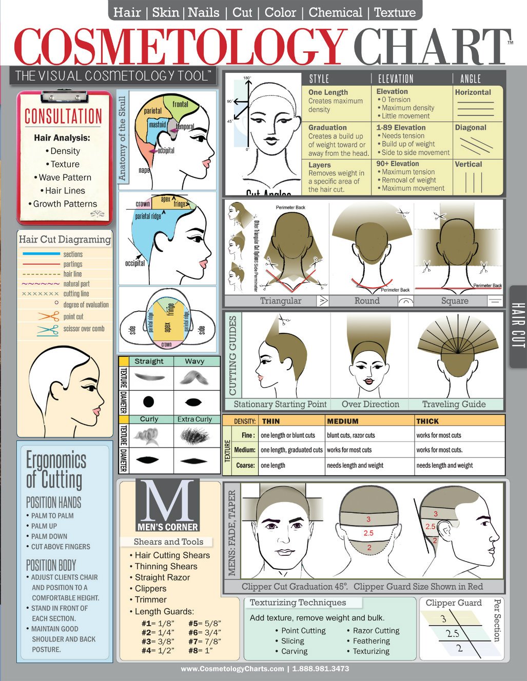 Cosmetology Chart & Cheat Sheet For Hair Stylists, Students & Educators Laminated Spill-Proof & Tear-Proof 8.5 x 11 Six Pages-Includes Information On Hair Cutting, Hair Color & More
