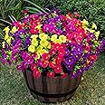 Nigirior 6 Bundles UV Resistant Artificial Flowers - Red, Rose Red, Purple, For Outdoor Planters & Garden - View #8