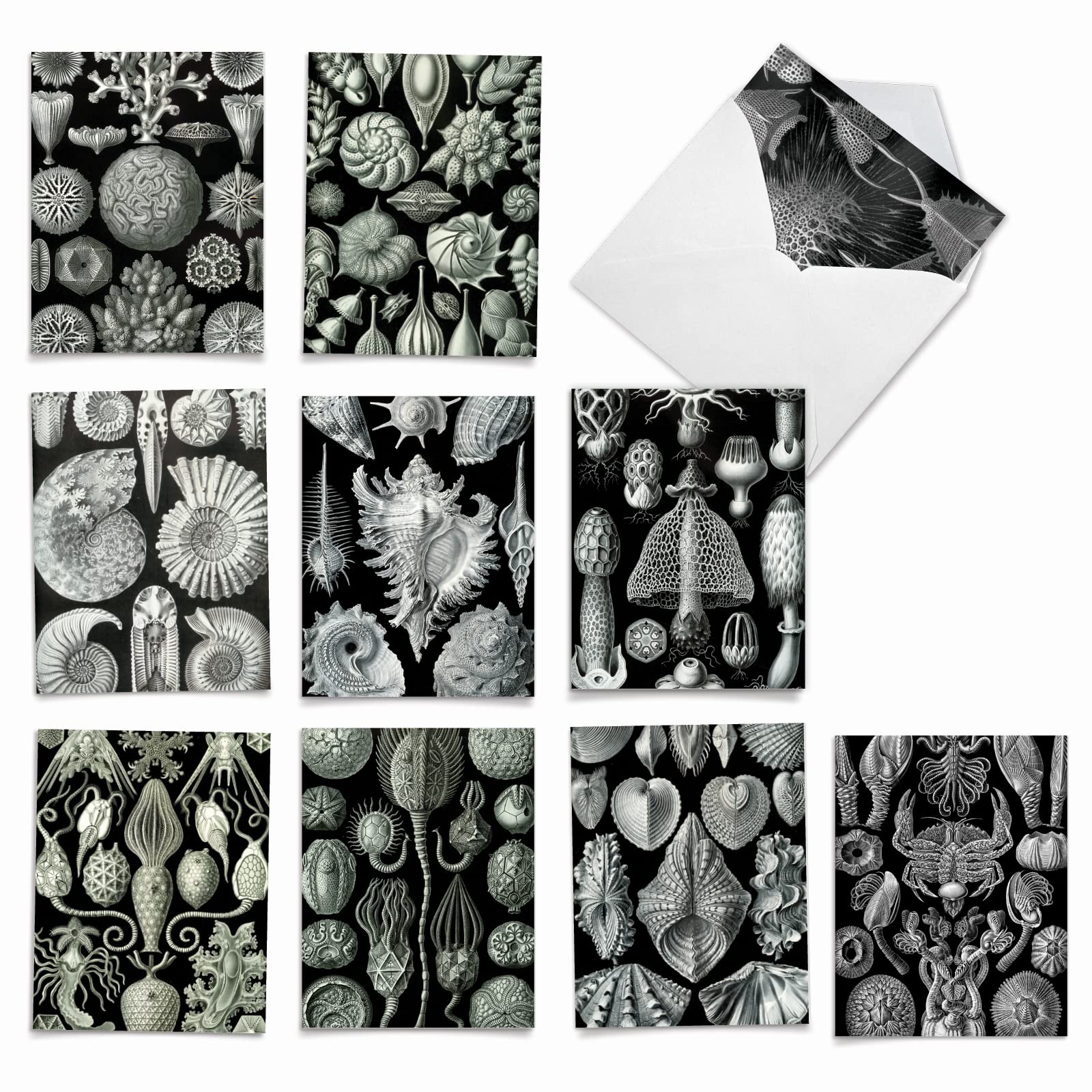 The Best Card Company 10 Assorted Thank You Note Cards Bulk Box Set 4 x 5.12 Inch with Envelopes (10 Designs, 1 Each) Sea World M9693TYG