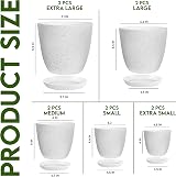 Utopia Home Plant Pots Indoor with Drainage 7/6.6/6/5.3/4.8 Inches Pack of 10 view 2