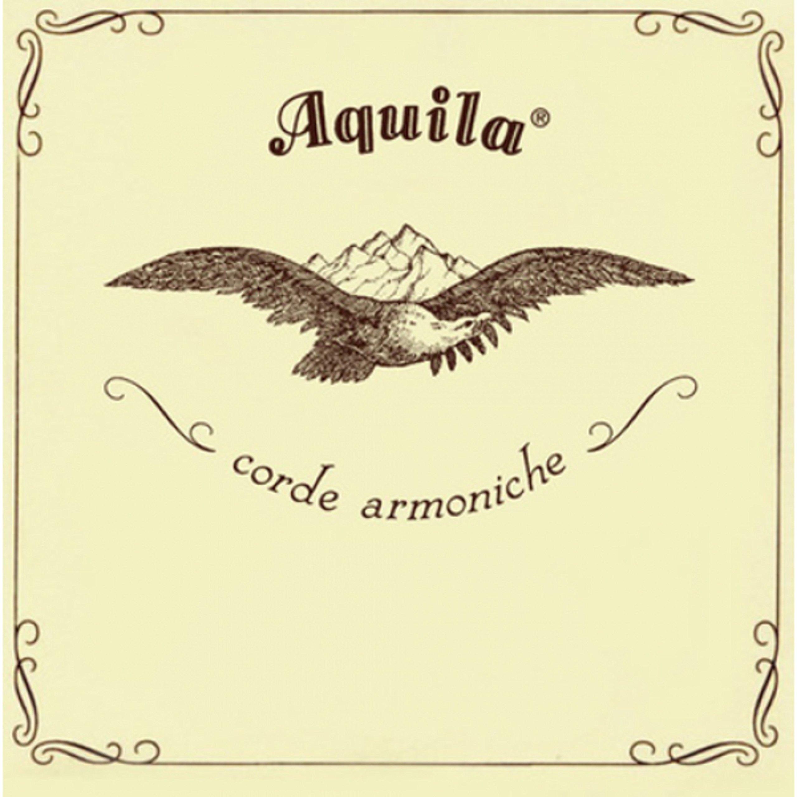 Aquila 55U Ukulele CONCERT Regular Tuning, Key of C - GCEA (alu wound C-string)