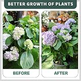 TOYPOPOR 10Pcs 10''x16'' Half Round Plant Support Stakes Garden Cage view 6