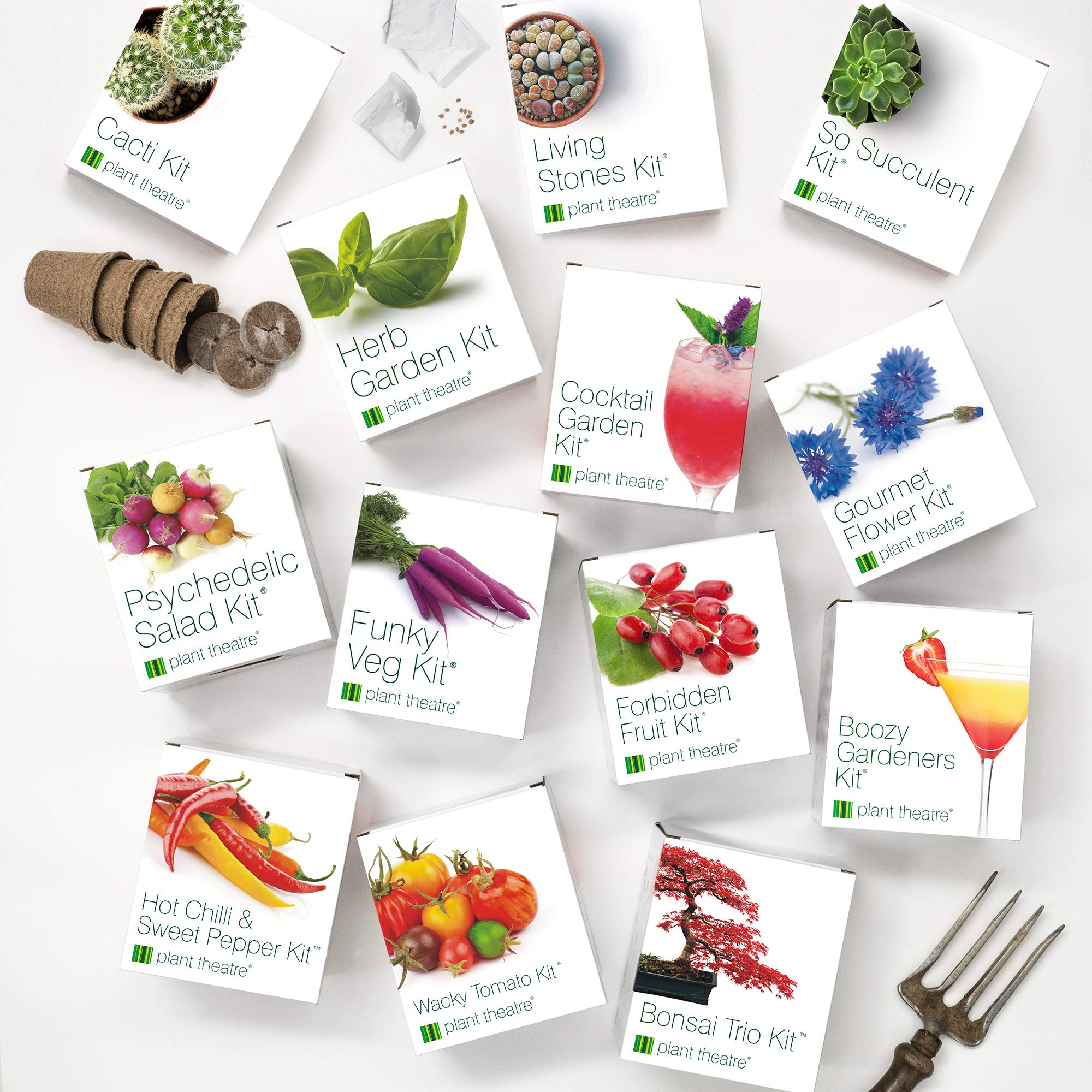 Herb Garden Seed Kit Gift Box 6 Different Herbs to Grow Buy Online