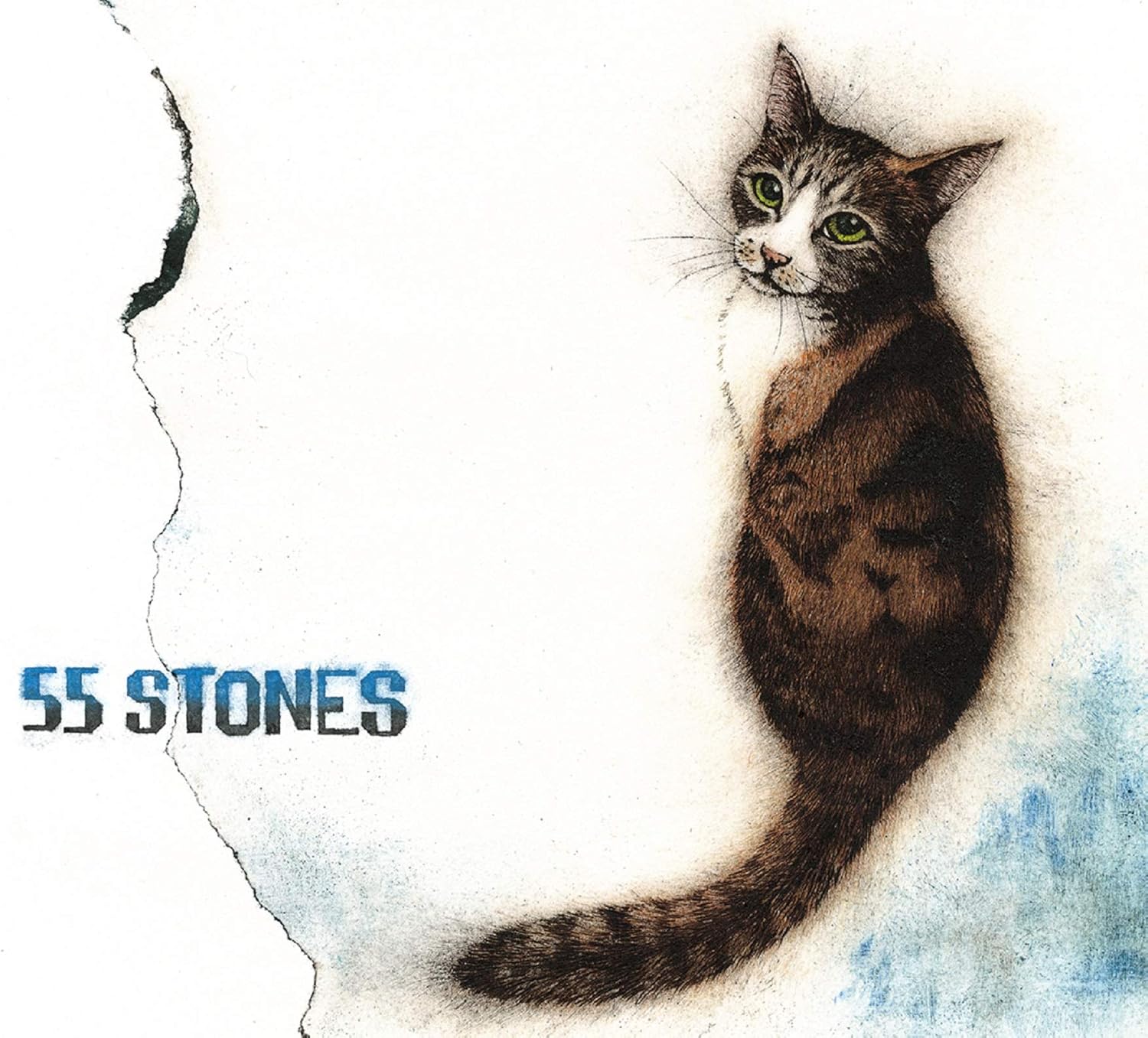 メーカー特典あり 55 Stones 初回限定盤 Cd Dvd 予約キャンペーン特典 55 Stones オリジナルa4サイズノートパッド 付 予約キャンペーンの対象期間は 年12月26日21 30 21年3月1日 正午12 00 まで 斉藤和義