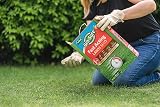 Gro-Sure Fast Acting Grass Lawn Seed 50 m2 1.5 kg Blue Green view 3