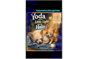 Yoda and the Little Light Halo