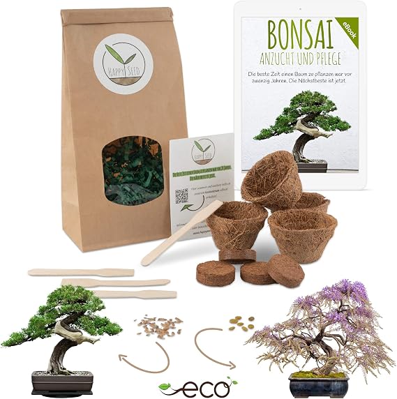 Bonsai Kit incl. eBook GRATUITO - Set con macetas de coco ...