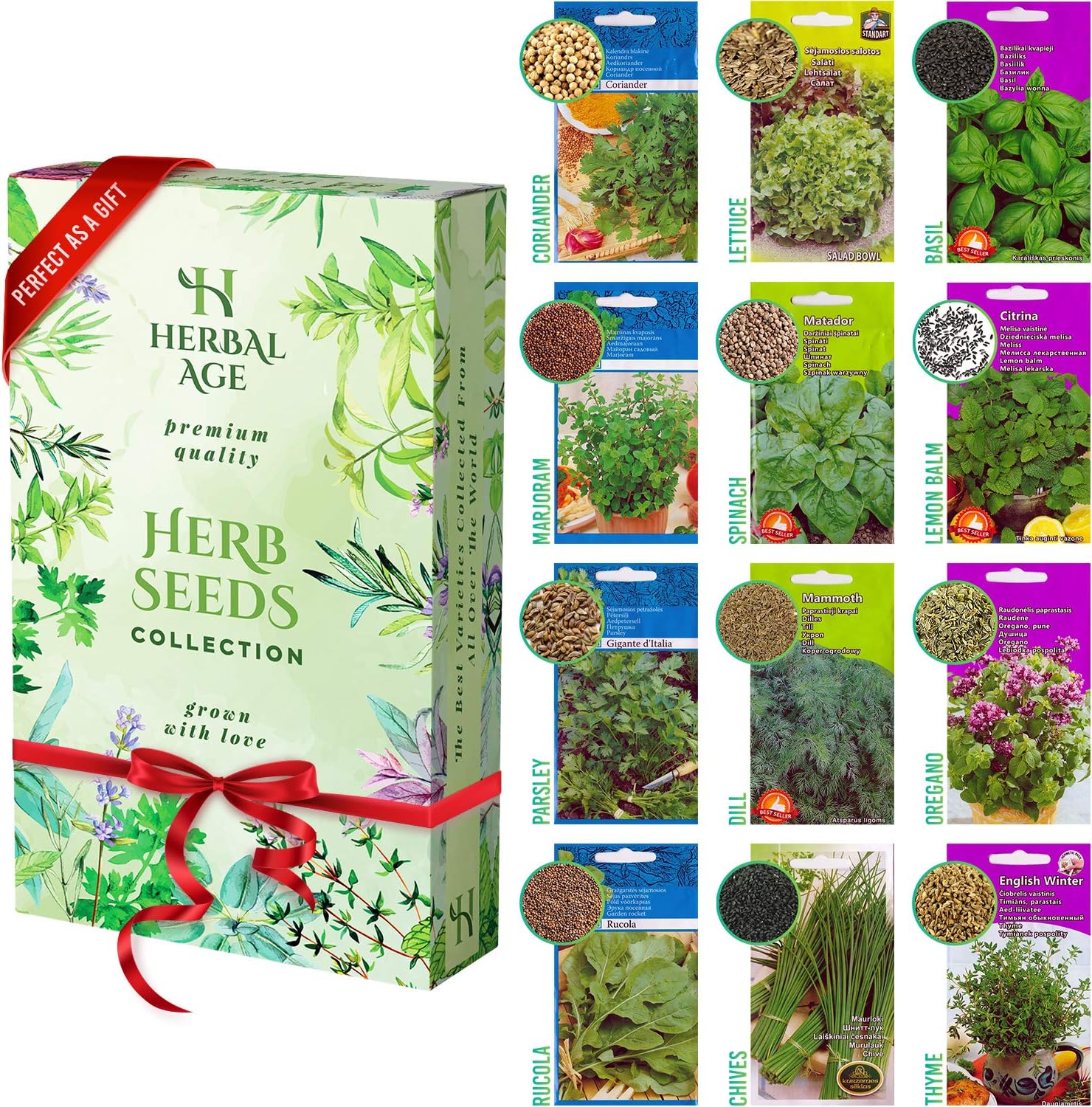 Herbal Age Grow Your Own Herb Garden Kit, 12 Herbs Plants, 8700 Herb Seed Box for Planting UK Salad Leaves, Basil Seeds, Mint