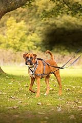 Halti Double Ended Lead For Dogs Small Purple 2m Neoprene Padded view 3
