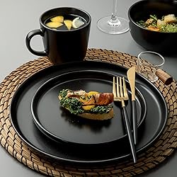 ARORA SKUGGA Round Stoneware 16pc Dinnerware Set of