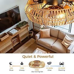 Mcestna Caged Ceiling Fan with Lights - 20 Inch