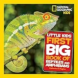 Little Kids First Big Book of Reptiles and Amphibians (Little Kids First Big Books)