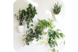 MAKE GOOD PlantPod Classic - Self-Watering Wall Planters (6, White) - Easy to Water and Install - Lightweight - Design Your Own Vertical Garden - Wall Planters for Indoor Plants