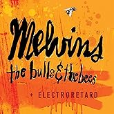 The Bulls & The Bees + Electroretard