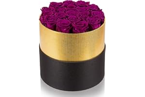 Perfectione Roses Forever Real Roses in a Box Preserved Flowers That Last Up to 3 Years, Long-Lasting Rose (Purple)