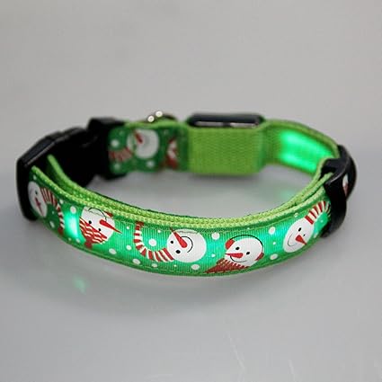 dog collar with christmas lights