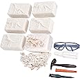 Dazmers Dino Fossil Dig Kit - Digging Toy with Excavating Tools & 6 Different Dinosaur Skeletons - Includes Chisel and Tools - Fun Entertainment for Kids to Learn Archaeology, Science and STEM