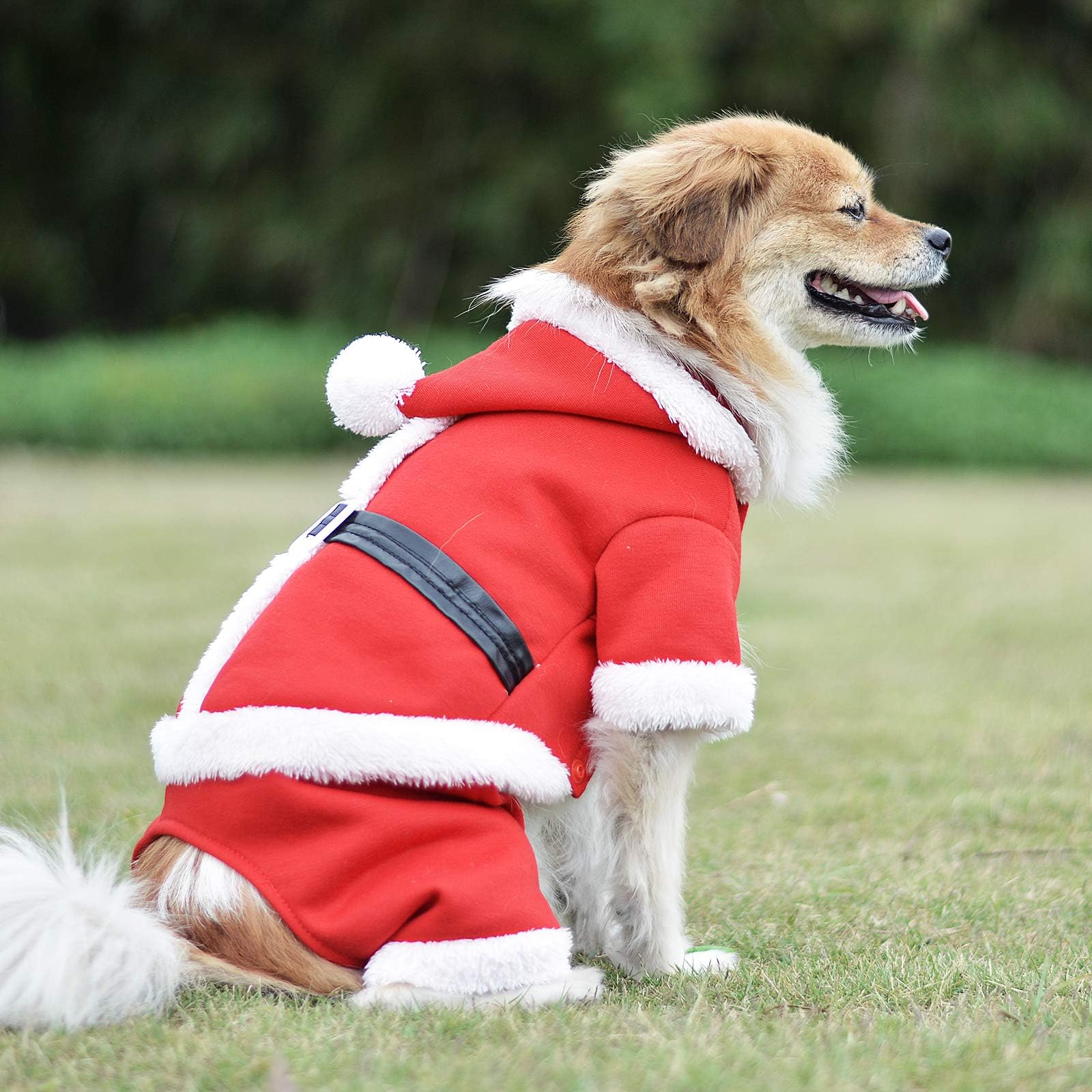 Zoneyee Christmas Pet Clothes Santa Costume Pet Hoodies Party Dressing Chirstmas Apparel for Small Pets Dogs Puppy Kitten Cat Four Leg Design with Leather Belt๏ผChristmas Santa L