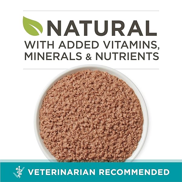 PURINA ONE URINARY TRACT HEALTH, NATURAL PATE WET CAT FOOD, URINARY TRACT HEALTH BEEF & LIVER RECIPE – (PACK OF 24) 3 OZ. PULL-TOP CANS