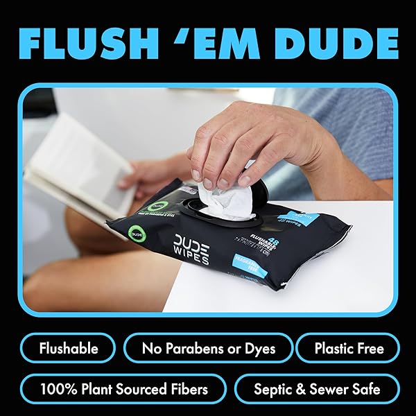 DUDE WIPES – FLUSHABLE WIPES – 2 PACK, 48 WIPES – UNSCENTED EXTRA-LARGE ADULT WET WIPES – VITAMIN-E & ALOE FOR AT-HOME USE – SEPTIC AND SEWER SAFE