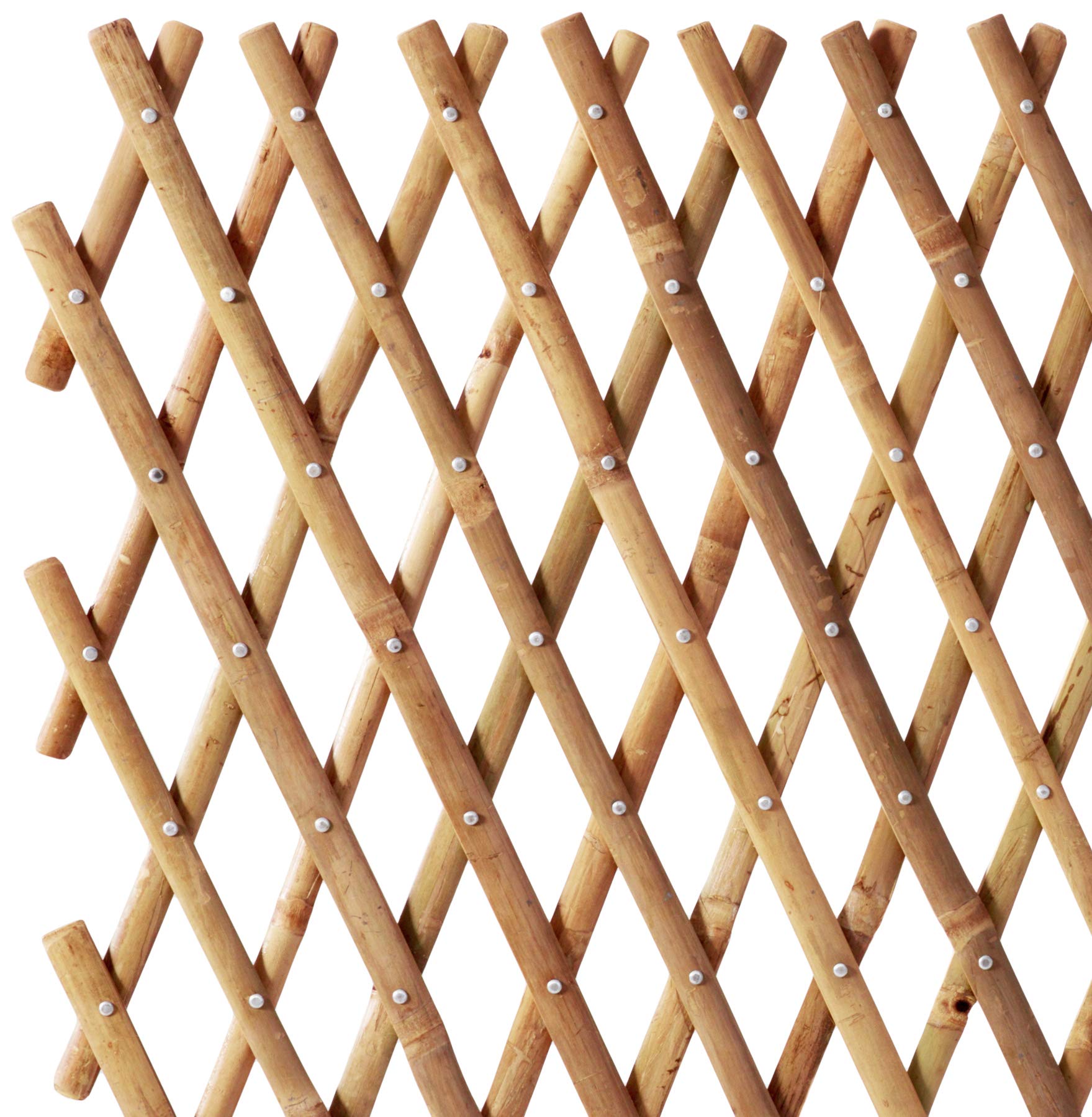 Master Garden Products Bamboo Flex Fence, 48 by 72Inch Buy Online in