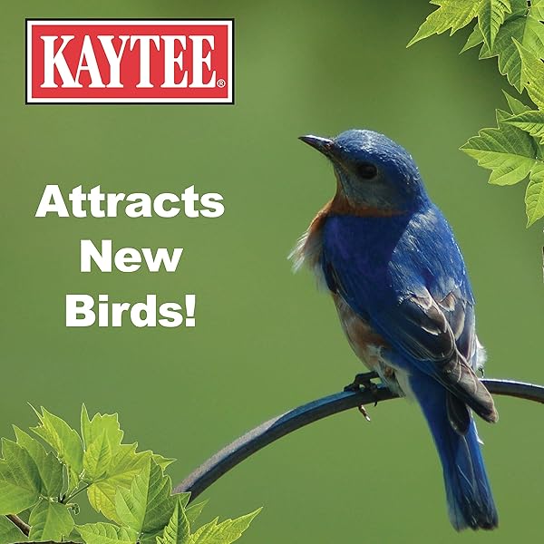 KAYTEE WILD BIRD FOOD MEALWORMS FOR BLUEBIRDS, WRENS, ROBINS, CHICKADEES, WOODPECKERS, CARDINALS & CHICKENS, 2 POUND