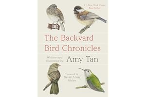 The Backyard Bird Chronicles