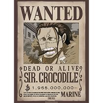 Amazon.com: GB eye - ONE PIECE Wanted Crocodile Wano Poster (52 x ...