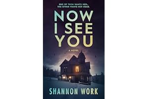 Now I See You (Mountain Resort Mystery series Book 1)