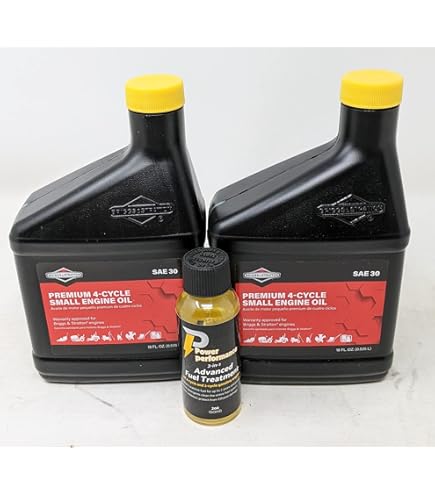 TOUR B X-F 5W 18° Amazon.com: Briggs and Stratton Case of 100005 SAE 30 Engine Oil