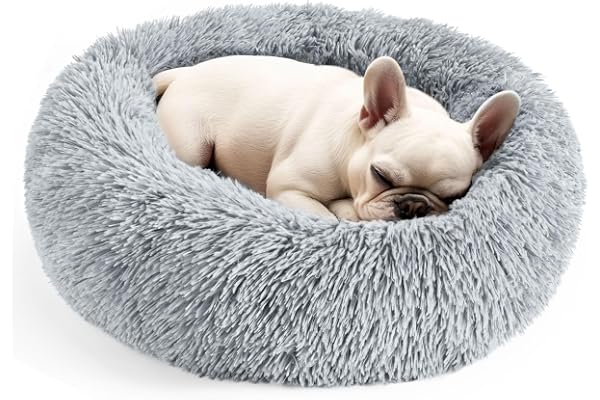 Dog & Cat Bed, 20in Cat Beds for Indoor Cats, Calming Donut Bed for Puppy and Kitten, Washable Round Fluffy Pet Bed for Small