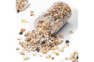 1200 PCS Natural Seashells, Joyfulmap Tiny sea Shells & Small Starfish for Decorations, Mixed Ocean Beach Spiral Shells for Crafting, Fish Tank, Beach Theme Party, Wedding Decor, DIY Craft Supplies