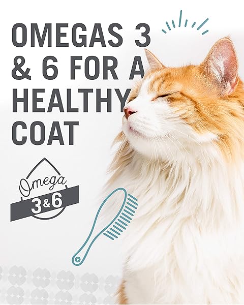 I AND LOVE AND YOU WET CAT FOOD – NINJA CAT JIU JIT STEW VARIETY PACK – CHICKEN, SALMON, TUNA, GRAIN FREE, FILLER FREE, 3OZ PACK OF 12 CANS