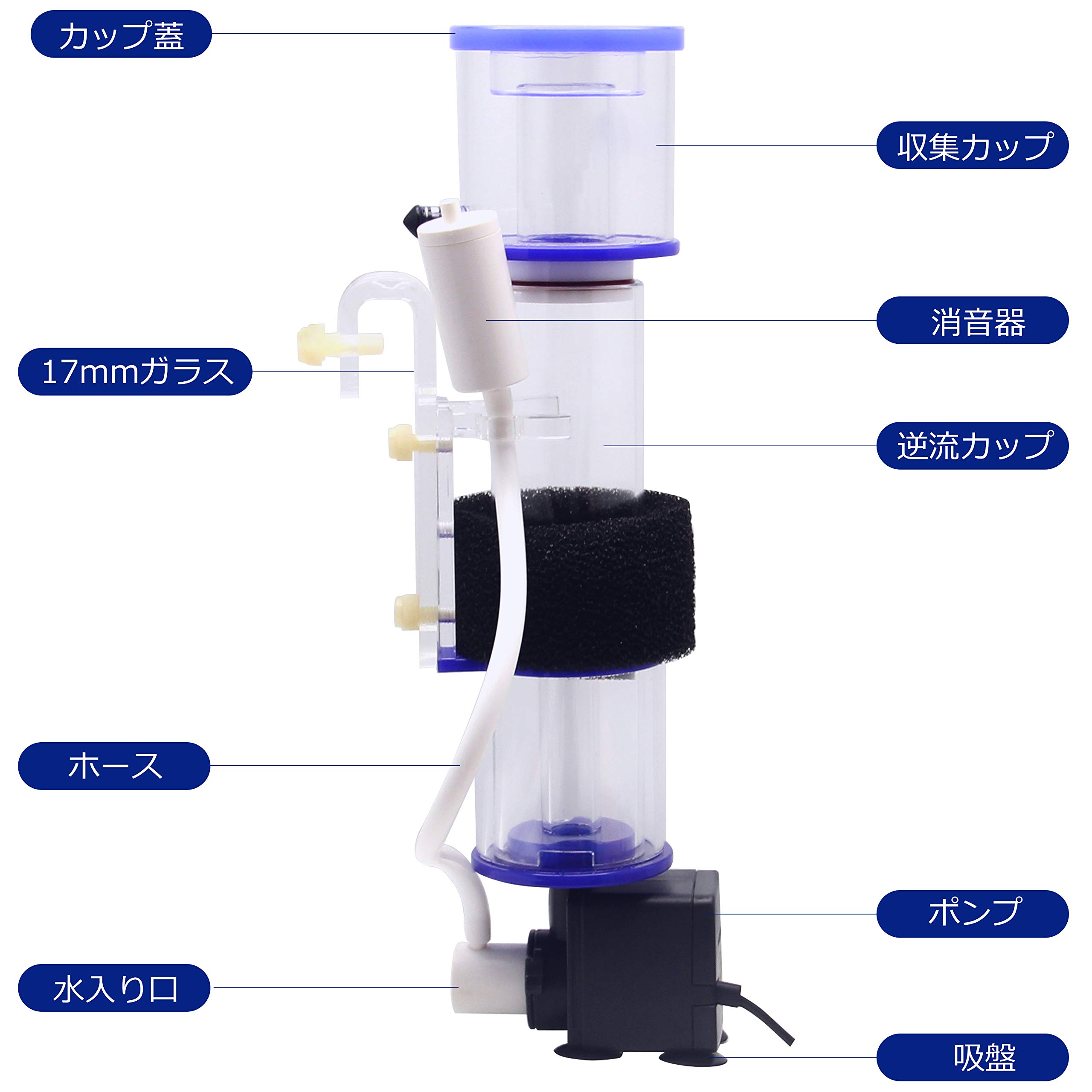 Mua Hanchen プロテインぷちスキマー 小型水槽用 海水魚飼育用 水質改善 水槽スキマー 水槽用フィルター 水質改善 熱帯魚 観賞魚 外掛け式 タンパク質 廃棄物分離 汚れ除去 Rf50 6w Tren Amazon Nhật Chinh Hang 21 Fado