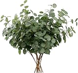 HNVNER 6 Bunches Eucalyptus Leaves Artificial Silk 60 cm Green Foliage view 1