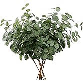 HNVNER 6 Bunches Artificial Eucalyptus Stems 24" Faux Eucalyptus Leaves Branches Silk Fake Green Foliage Artificial Plants Greenery for Flower Arrangement Home Wedding Party Decoration