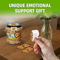 60 Positive Lion Cards Jar, Fathers Gift from